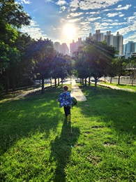 何承熙 (优异奖) - 香港地的人和树 在有限的土地上，人树共融是否很难做到？ 纵然香港是片石屎森林，但环顾四周，总可见到一抹绿荫。